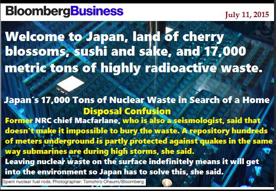 Japan rad waste